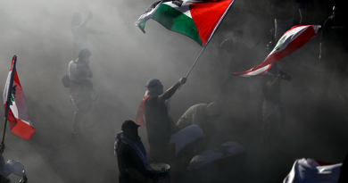 Demonstran pro-Palestina mengibarkan bendera dalam unjuk rasa di Ottawa, Ontario, Sabtu, 5 Oktober 2024.