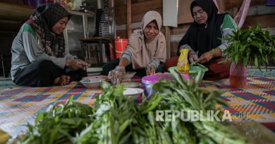 Kelompok Tani Perempuan di Bengkalis Olah Sayur Kangkung Jadi Camilan