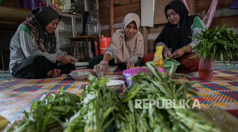 Kelompok Tani Perempuan di Bengkalis Olah Sayur Kangkung Jadi Camilan