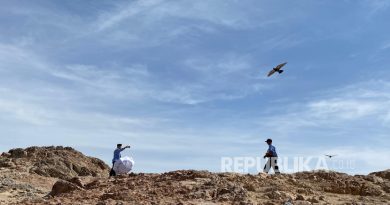 Bukit Rumat yang berada di antara Gunung Uhud. Bukit ini menjadi salah satu destinasi yang dituju jamaah haji dari berbagai negara.