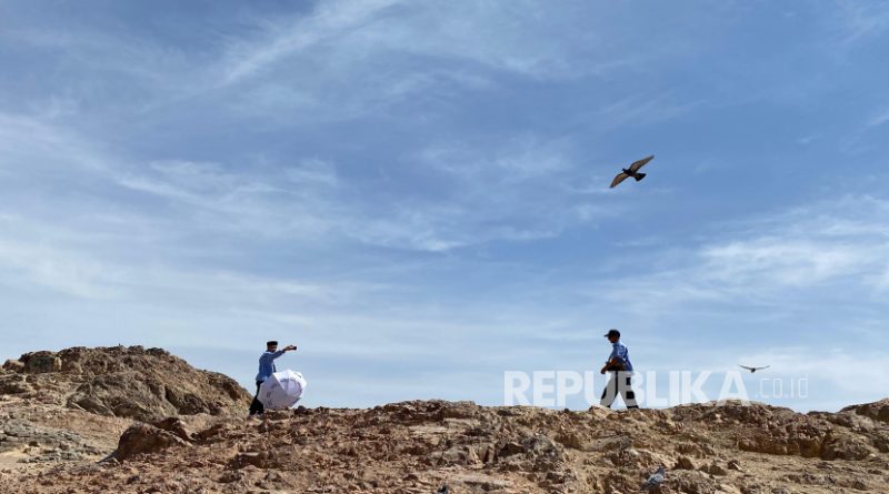 Bukit Rumat yang berada di antara Gunung Uhud. Bukit ini menjadi salah satu destinasi yang dituju jamaah haji dari berbagai negara.