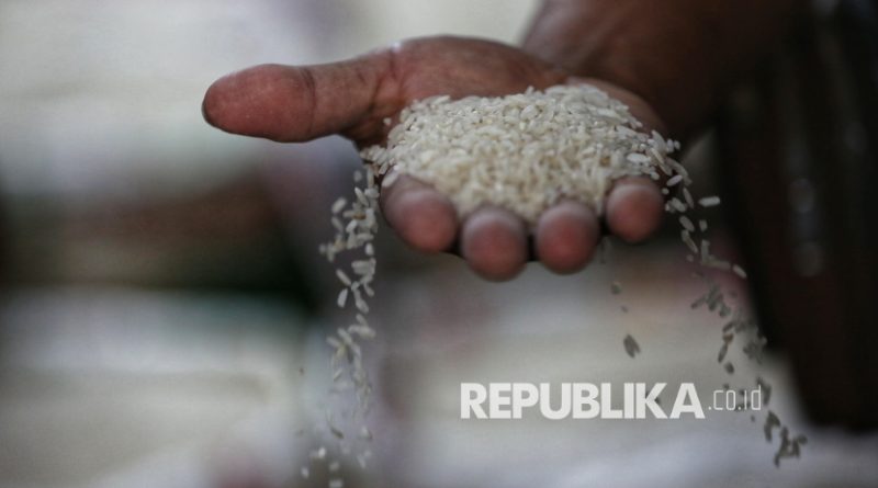 Pembeli mengecek kualitas beras di Pasar Induk Beras Cipinang, Jakarta, Senin (14/7/2025). Masyarakat diimbau lebih waspada dalam membeli beras, hal ini menyusul temuan Kementerian Pertanian terkait 212 merek beras yang beredar di pasaran diduga melakukan pengoplosan, pelanggaran standar mutu, berat, hingga harga eceran tertinggi (HET).