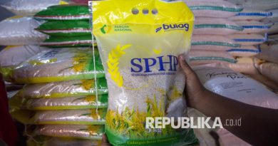Petugas memeriksa kondisi beras Program Stabilisasi Pasokan dan Harga Pangan (SPHP) di salah satu kios di Pasar Induk Indramayu, Jawa Barat. (ilustrasi)
