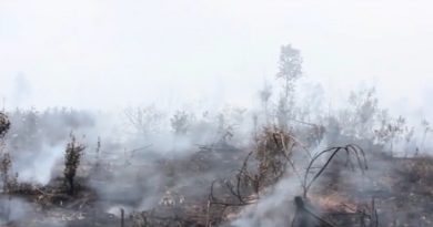 Kebakaran hutan (Ilustrasi)