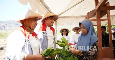 T Pertamina International Shipping (PIS) berhasil menyalurkan hampir lima juta liter air bersih kepada warga di Desa Golomori, pedalaman Labuan Bajo, dalam satu tahun terakhir. Keberhasilan ini dicapai melalui pemasangan pompa air bertenaga surya yang mampu menekan konsumsi energi listrik sebesar 4.000 kWh.