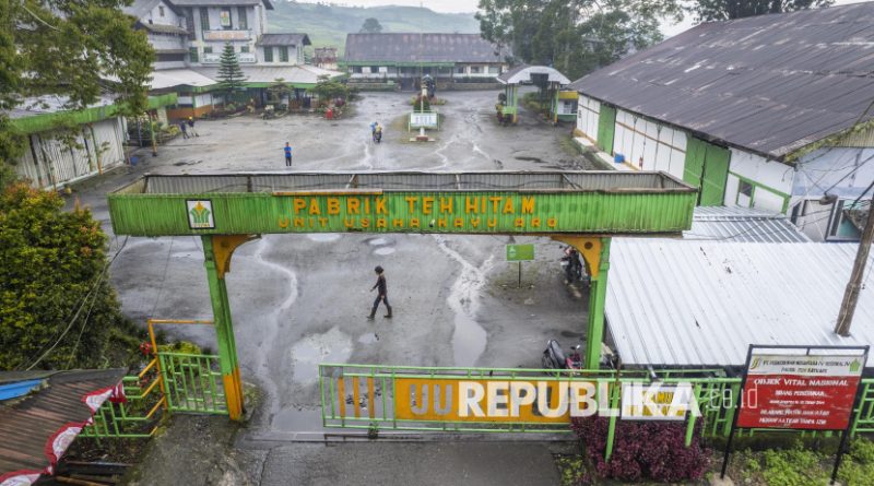 Penampakan Pabrik Teh Tertua di Indonesia, Usianya Sudah Mencapai Satu Abad