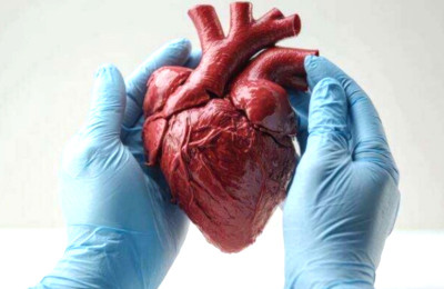 Plester Baru Membantu Penyembuhan Kerusakan Jantung Setelah Serangan Jantung
