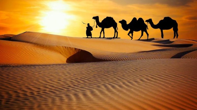 Ilustrasi Sahabat Nabi