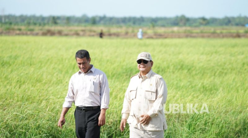 Menteri Pertanian (Mentan) Andi Amran Sulaiman bersama Presiden Prabowo Subianto meninjau hasil pertanian. (foto ilustrasi)