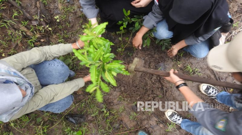 Para mahasiswa Sekolah Tinggi Ilmu Kehutanan (STIK) Teungku Chik Pante Kulu menanam pohon di kawasan Hutan Wakaf Aceh, Jantho, Aceh Besar, belum lama ini.