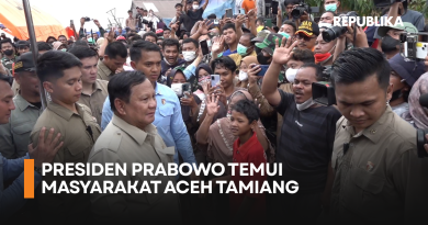 Jaga Alam, Jangan Tebang Pohon Sembarangan!