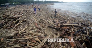 Ekosistem Rusak, Walhi Nilai Usulan Gunung Slamet Jadi Taman Nasional Terlambat