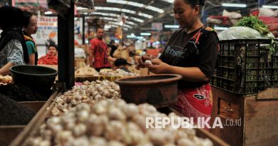 Pedagang bawang putih melayani pembeli di Pasar Induk Kramat Jati, Jakarta Timur, Selasa (18/2/2025). Memasuki dua pekan jelang bulan Ramadan 1456 Hijriah, pasokan cabai, bawang merah dan bawang putih cenderung stabil untuk menjaga harga tidak mengalami kenaikan secara drastis. Untuk harga cabai rawit merah saat ini berkisar Rp65 ribu hingga Rp70 ribu per kilogram, harga cabai merah keriting Rp35 ribu hingga Rp45 ribu, sementara untuk harga bawang merah berkisar Rp30 ribu hingga Rp35 ribu dan bawang putih Rp40 ribu hingga Rp45 ribu. Dalam satu hari, pasokan bawang merah ke Pasar Induk Kramat Jati sekitat 89 ton dan cabai merah keriting 25 ton per hari.