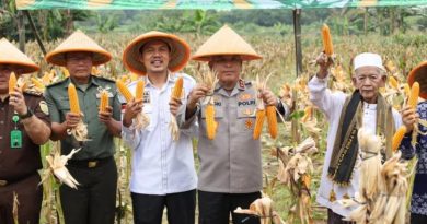 Polda Banten perkuat swasembada pangan lewat panen jagung kuartal IV.