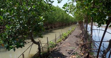 Jawa Tengah Dipilih Jadi Lokasi Perdana Proyek Karbon Biru
