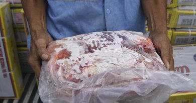 Pekerja menunjukkan daging beku impor asal India yang tiba di New Priok Container Terminal One (NCPT1), Jakarta. (ilustrasi)