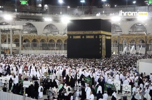 6.047 Jamaah Umrah Pulang ke Tanah Air, Kemenhaj Pastikan Perlindungan Maksimal